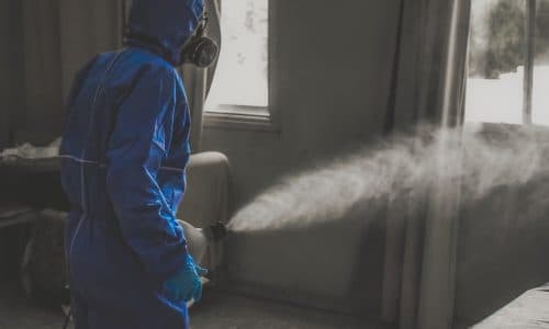 Disinfestazione a Venarotta