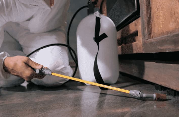 Scopri di più sull'articolo Disinfestazione a Resuttano