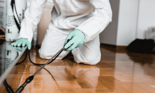 Disinfestazione a Casei Gerola